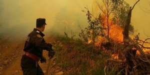 Incendiu de vegetație în Săpânța