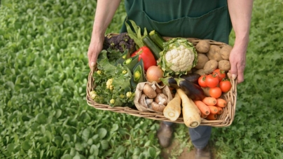 Cum stăm cu agricultura ecologică în Maramureş