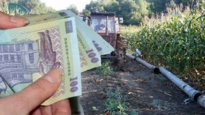 Până când se depun cererile unice de plată pentru acordarea de subvenții și ce acte sunt necesare
