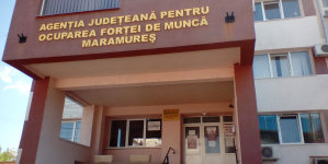 Locuri de muncă disponibile în Maramureș