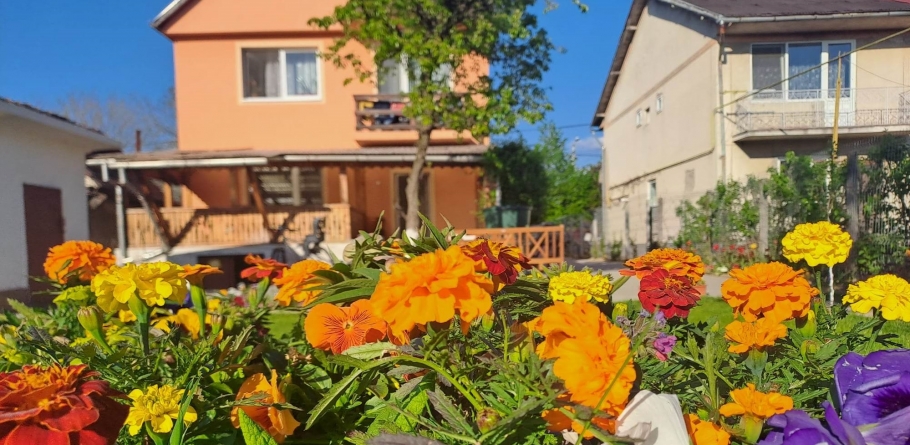 Meteo 14 zile Estimări: Vremea în aria din Maramureș, în viitor, se menține apropiată de valorile multianuale! Iată statistica specială în vigoare!