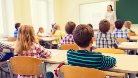 Șapte discipline opționale noi incluse în oferta de studiu din școli