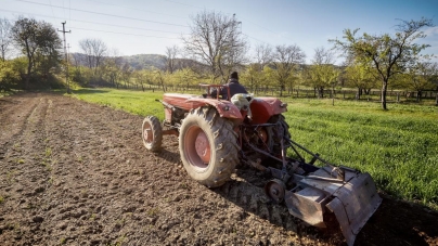 Ajutor financiar de la stat pentru producătorii agricoli