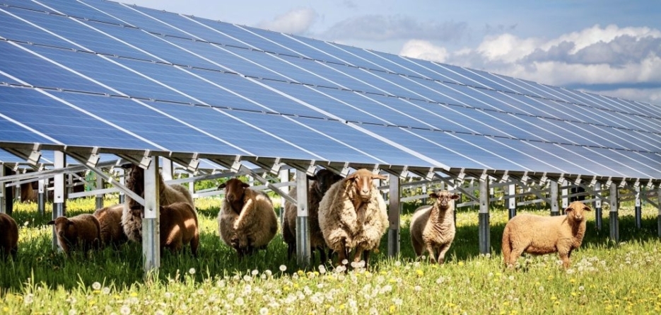 Coltău devine epicentrul energiei verzi din județ