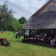 Ziua Copilului va fi marcată și la Muzeul Satului din Baia Mare; Tiroliana, atelierele, covoarele povestitoare, gogoșile sunt doar câteva dintre surprize