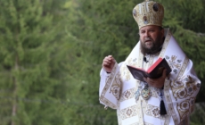 Se împlinesc șapte ani de la hirotonia Preasfințitului Părinte Timotei Sătmăreanul în demnitatea de Arhiereu-vicar al Episcopiei Ortodoxe Române a Maramureșului și Sătmarului