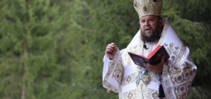 Se împlinesc șapte ani de la hirotonia Preasfințitului Părinte Timotei Sătmăreanul în demnitatea de Arhiereu-vicar al Episcopiei Ortodoxe Române a Maramureșului și Sătmarului