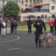 Un oaspete special al copiilor: câinele Edam, al Jandarmeriei Maramureș