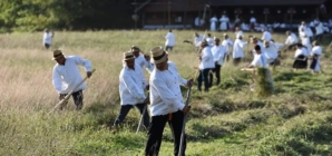 Ca pe vremuri: Se va face clacă de coasă în Groși, pe Valea Mare