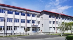 Rezultate frumoase obținute de elevii Școlii Gimnaziale „Vasile Alecsandri” Baia Mare la concursurile de biologie