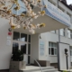 Șase elevi de la Colegiul Național „Mihai Eminescu” Baia Mare au fost premiați la Concursul național de limbi și culturi clasice „Ecaterina Andreica”