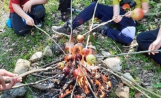 Copiii sunt invitați să se înscrie la Tabăra de vară „În siguranță în natură”