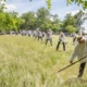 Se organizează clacă de coasă la Cărbunari