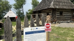 Proiectul InterCities prinde contur la Muzeul Satului Maramureșean